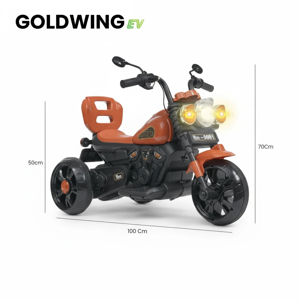 EV Hand Race Bike Bullet Goldwing (12V Kids Ride-On)