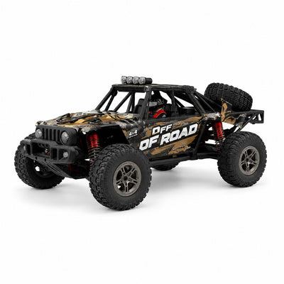 60KM/H+ 208E High-Speed Off Road RC Car