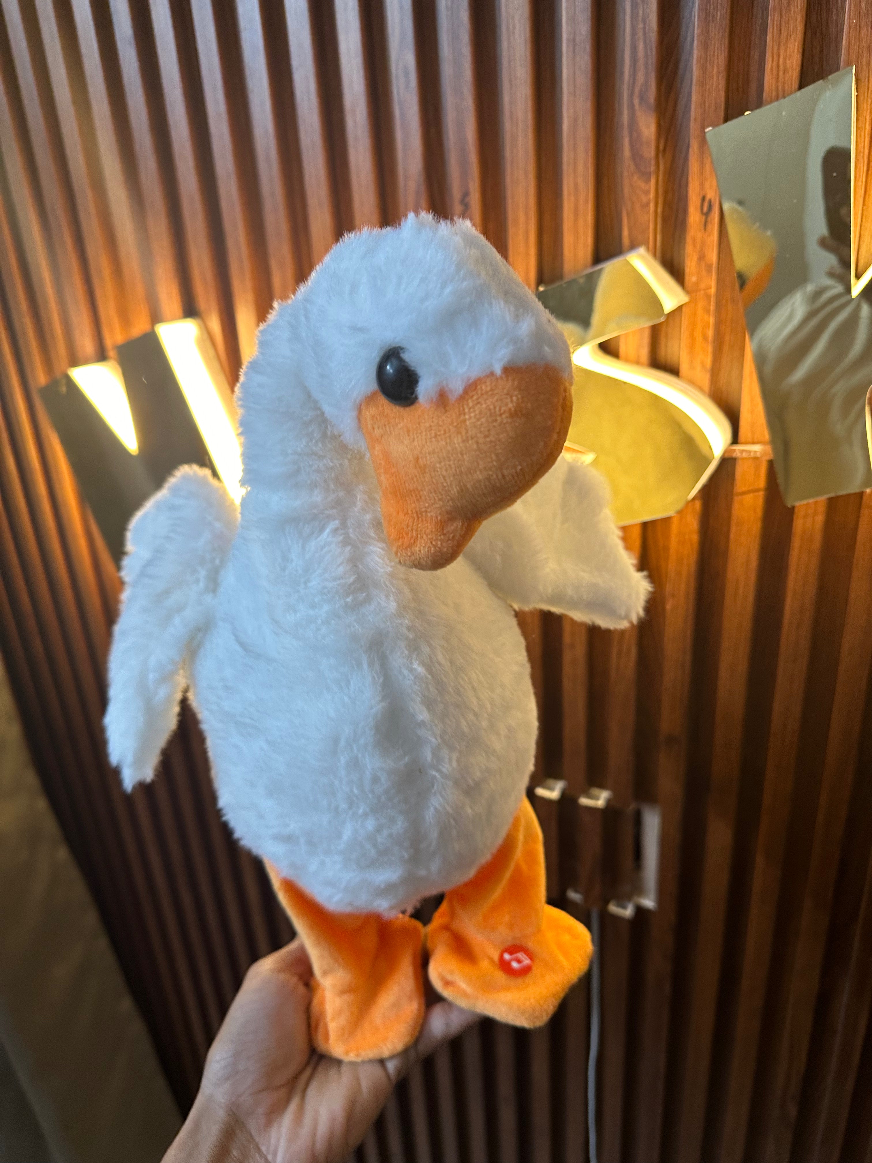 Voice repeating duck