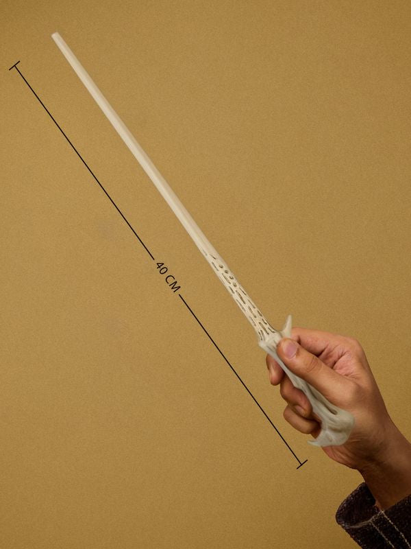 Lord Voldemort's fire Wand