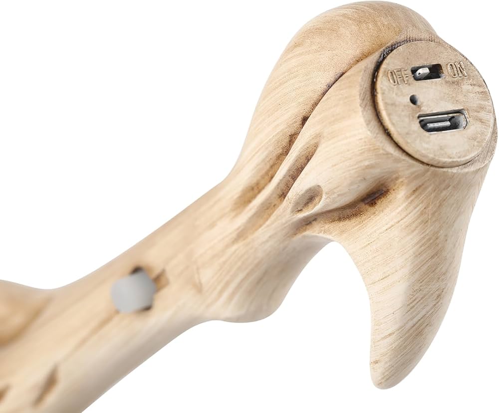 Lord Voldemort's fire Wand