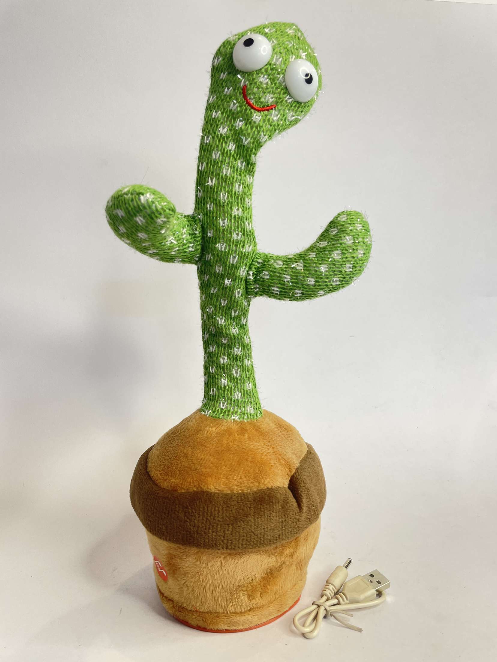 Dancing cactus